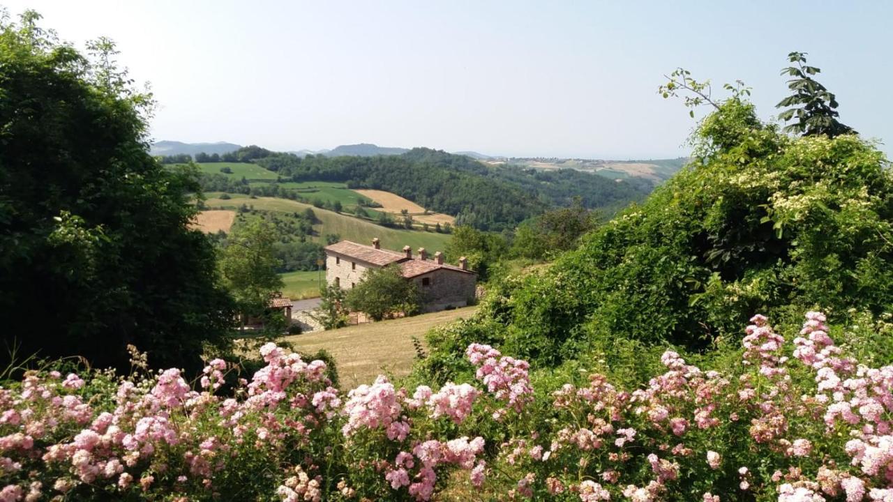 Ca' Noeva Bed & Breakfast Valverde  Exterior foto